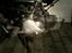 Puch Maxi Solgt