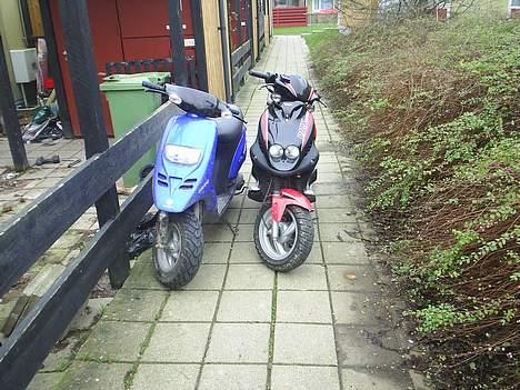 PGO pmx sport (solgt) - sammen med typhoonen billede 1