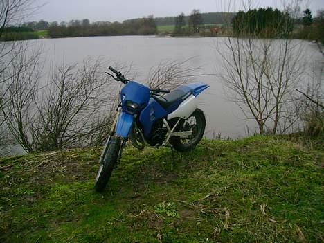 Suzuki Smx - Byttet til NRG  billede 2