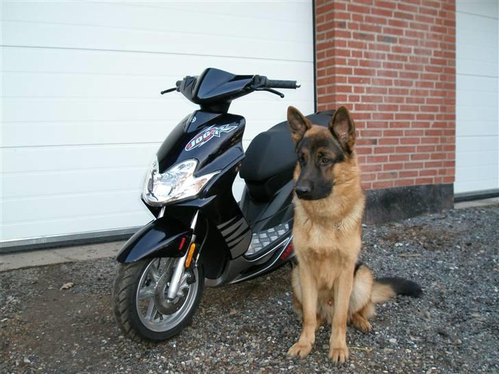 Yamaha Jog R Solgt - Mit private vagtværn...! billede 17