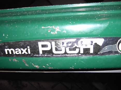 Puch Maxi K E50 - Fed klistermærke...! billede 5