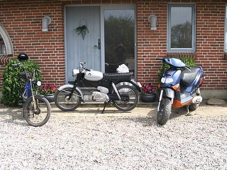 Aprilia Rally billede 5