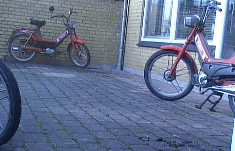 Puch Maxi P1 billede 10