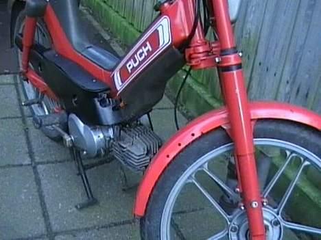 Puch Maxi P1 billede 13