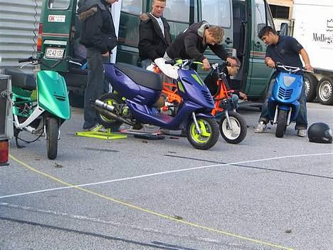 Aprilia Sonic EVO LC SOLGT billede 6