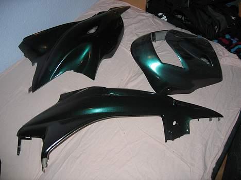 CPI Chameleonen billede 9