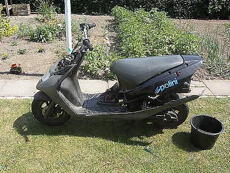 Suzuki ap50 address solgt billede 15