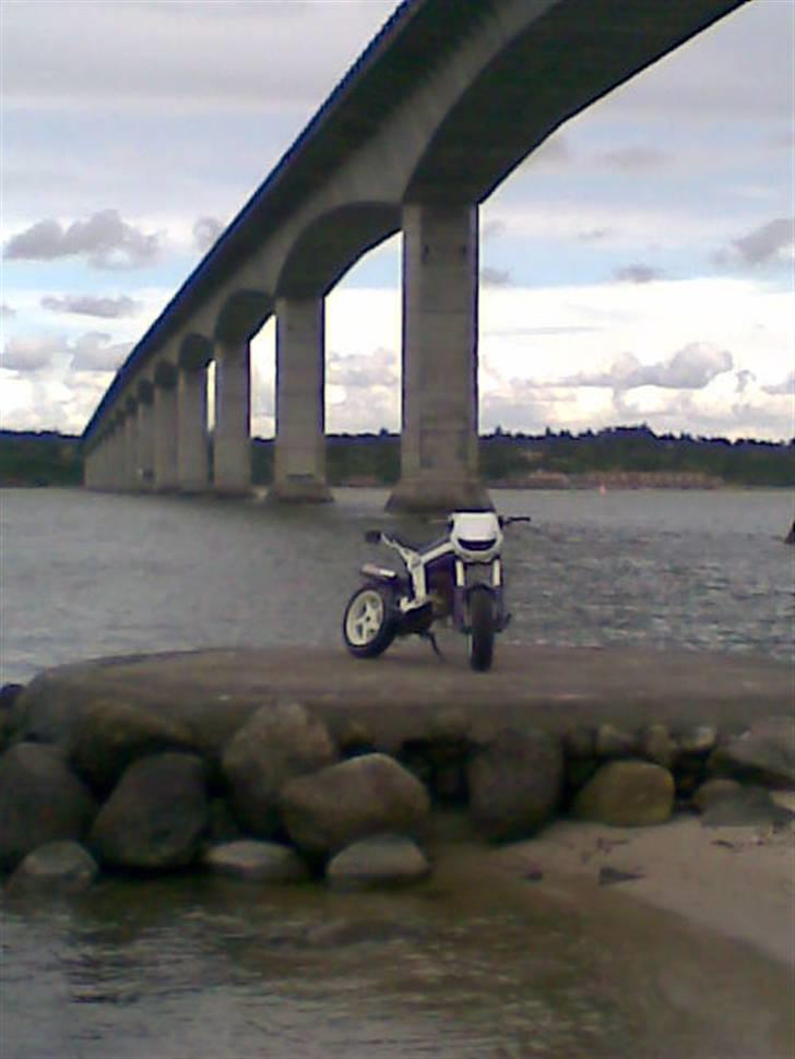 Suzuki Street Magic Ac (SOLGT) billede 1