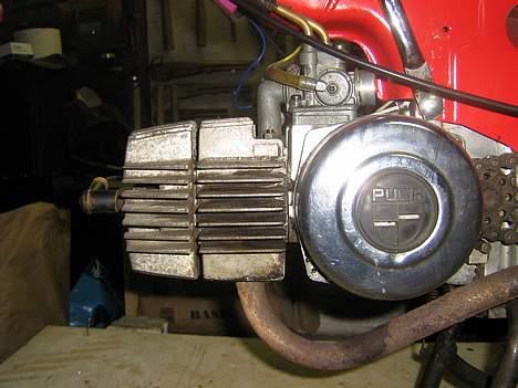 Puch Maxi KL  billede 4