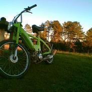 Puch Maxi P (Project) (Solgt)