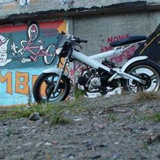 Sachs Madass Whitechick 8500 kr
