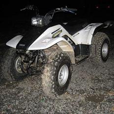 Yamaha 125 ccm Breeze STJÅL:ET