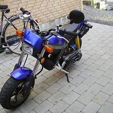 Suzuki Street magic byttet
