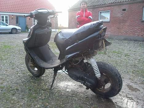 Adly Falcon solgt billede 3