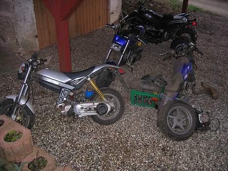 Suzuki solgt billede 5