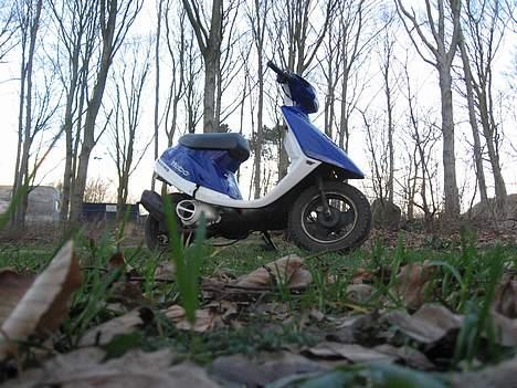 Yamaha Jog - Joggen på skovtur ! billede 5