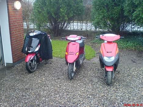 Giantco sprint sport - for at sammenligne den med en PGO comet og suzuki ap billede 4