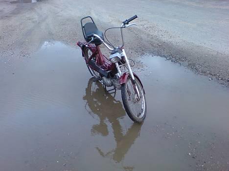 Puch Maxi K billede 2