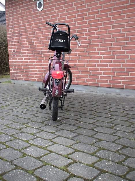 Puch Maxi K billede 5