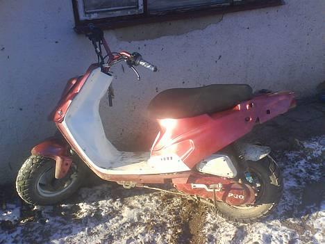 PGO hot 50 billede 1