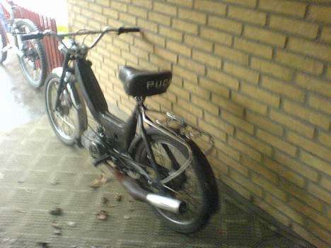 Puch Maxi K(black devil) billede 3