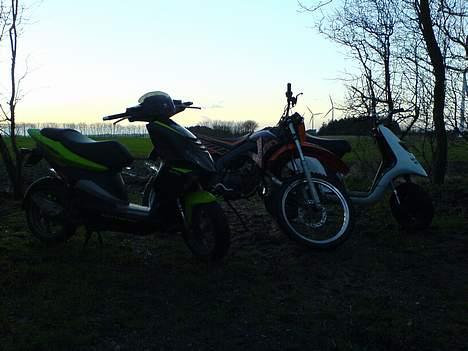 Piaggio Typhoon(Elsket og savnet) billede 15