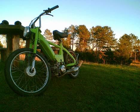 Puch Maxi P (Project) (Solgt) billede 1