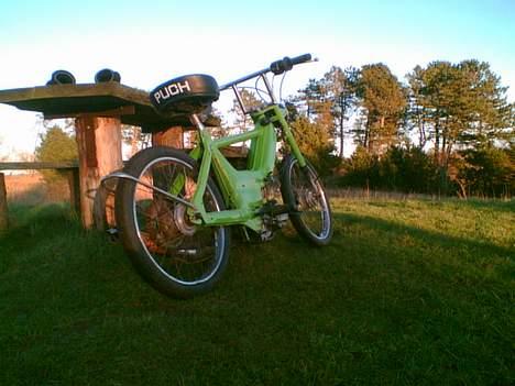 Puch Maxi P (Project) (Solgt) billede 3