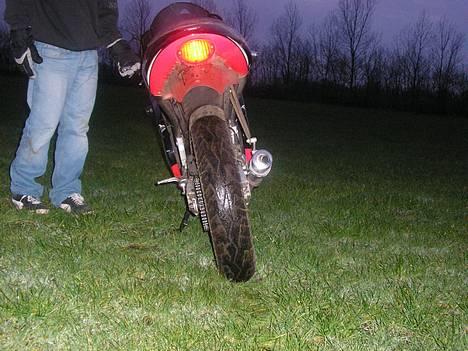 Aprilia rs 50 replica billede 1