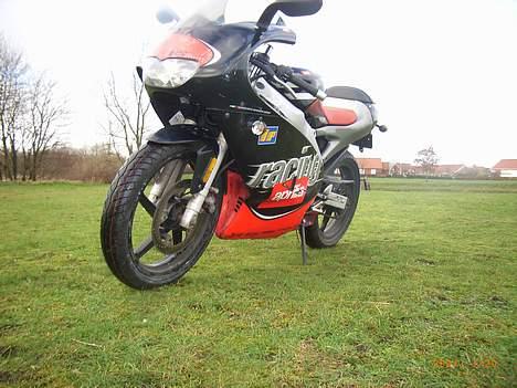 Aprilia rs 50 replica billede 5