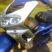 Peugeot Speedfight 2 TOTAL SKADET