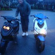 Peugeot Speedfight 2 TOTAL SKADET