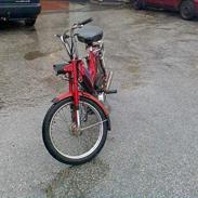 Puch maxi KL SOLGT