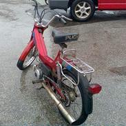 Puch maxi KL SOLGT