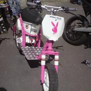 Piaggio Zip (Solgt)