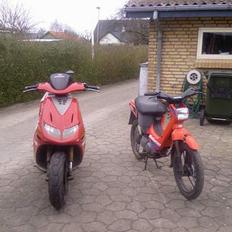 Honda wallaroo (solgt)