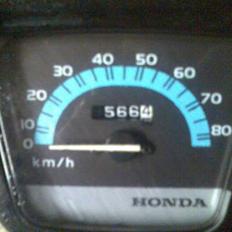 Honda wallaroo (solgt)