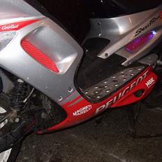 Peugeot speedfight 2 -WRC (SOLGT)