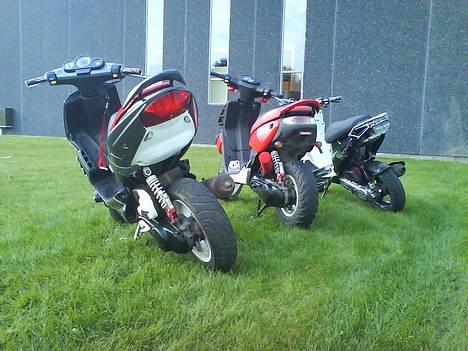 PGO Hot/Tornado -SOLGT-9100kr - Mandag d. 16/4 på Derma Pharm billede 18