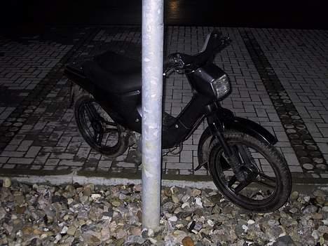 Honda Wallaroo(Byttet væk) billede 9