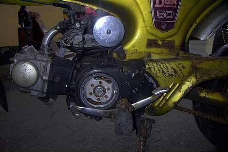 Honda Dax   billede 3