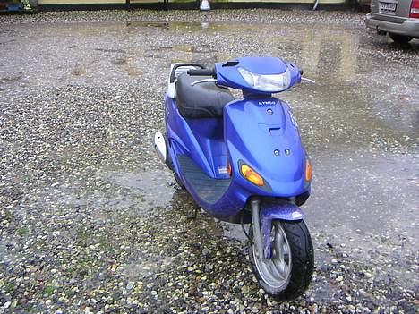 Kymco ZX50 FEVER billede 6
