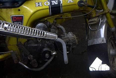 Honda Dax   billede 6