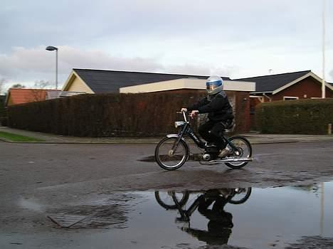 Puch Maxi K (solgt) billede 10