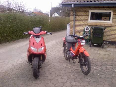 Honda wallaroo (solgt) - vores wallaroo  og catters  kærestes fede Derbi billede 1