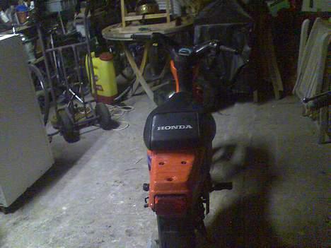 Honda wallaroo (solgt) - Nice ass billede 3