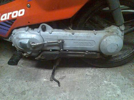 Honda wallaroo (solgt) billede 4