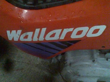 Honda wallaroo (solgt) - Wallaroo  billede 5