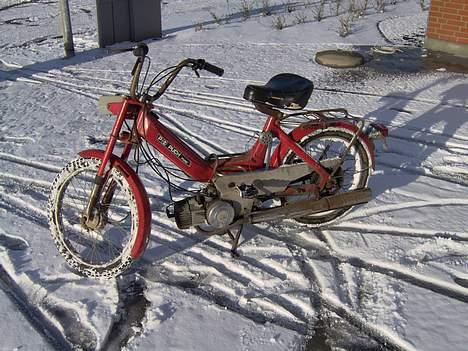 Puch Maxi P  - Dejligt i sneen billede 6