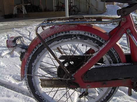 Puch Maxi P  billede 7